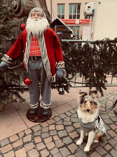 Fotochallenge 111: Endlich! Morgen kommt der Nikolaus..-Beitrag-Bild
