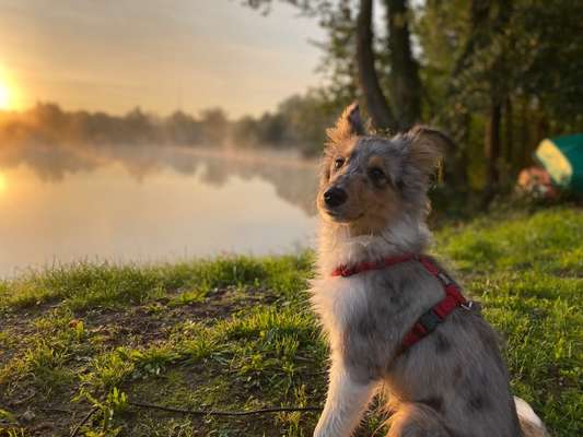 Zeigt eure Portraits-Beitrag-Bild