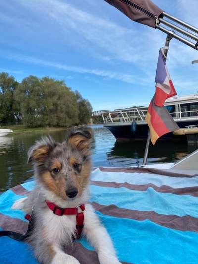 Fotochallenge 101:
On Tour-Beitrag-Bild