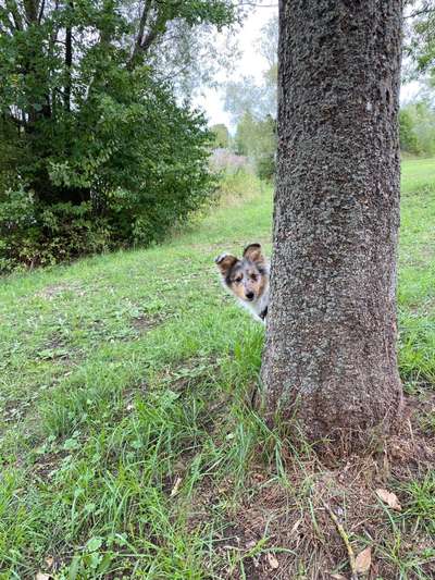 27. Handy Fotochallenge-Beitrag-Bild