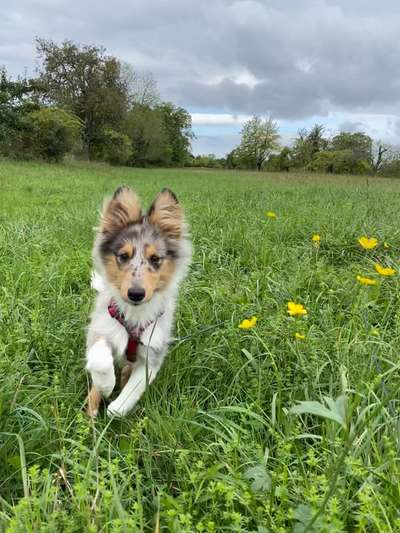 Lieblingsbild-Beitrag-Bild