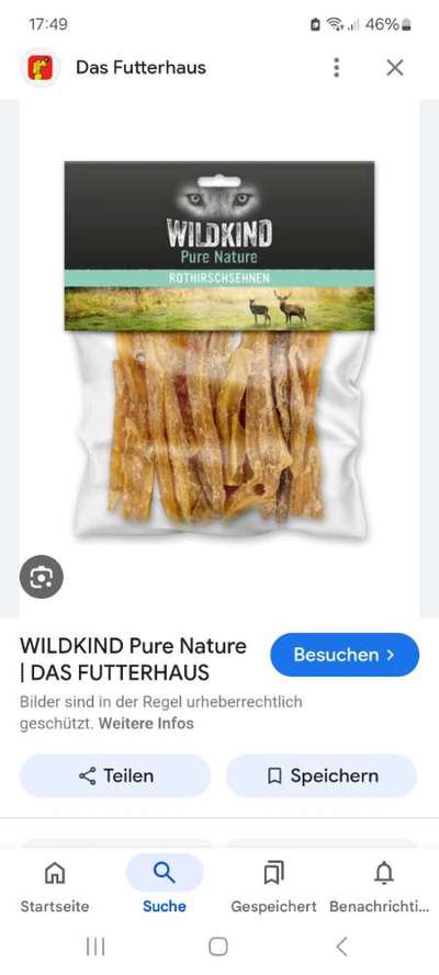 „Werwolfsyndrom“ bei Hunden – Was ist mit unseren Kauknochen los? 🐺🦴-Beitrag-Bild