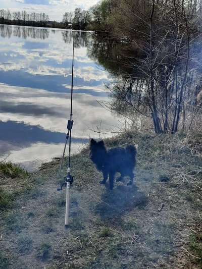 Dogorama-Monats-Challenge-Mai "Wasser"-Beitrag-Bild