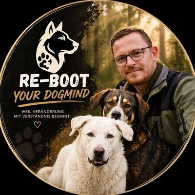 Hundeschulen-re-boot your dogmind-Bild