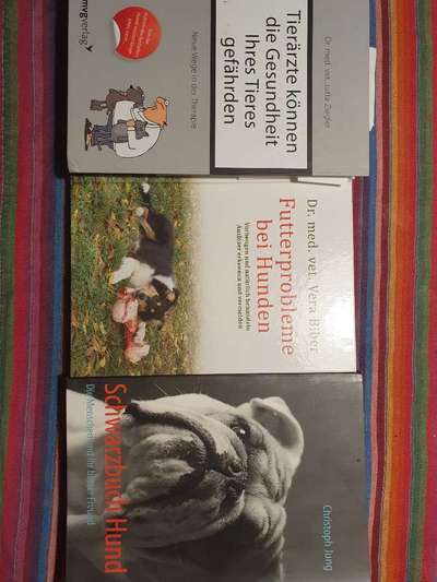 Ist Trockenfutter schädlich?-Beitrag-Bild