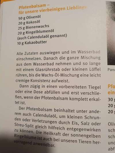 Rote pfoten-Beitrag-Bild