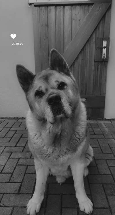 Foto-Challenge 76: Foto in Schwarz-Weiss-Beitrag-Bild