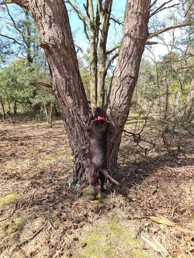 Fotowettbewerb Natur-Beitrag-Bild