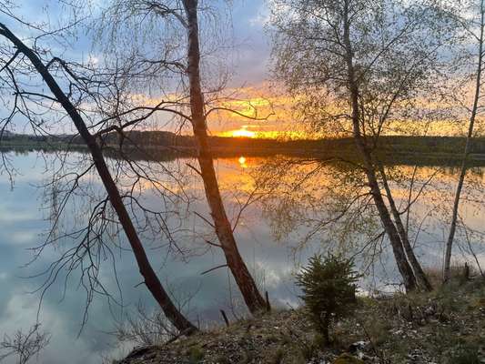 Hundeauslaufgebiet-Knappensee-Bild