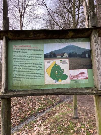 Hundeauslaufgebiet-Landeskrone-Bild
