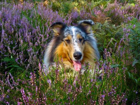 Fotochallange Nr. 57     PORTRÄT.   Beendet!!!!!!!!-Beitrag-Bild