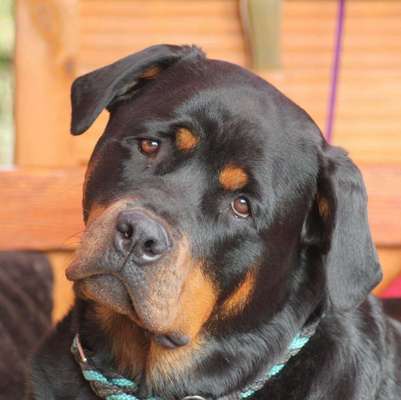 Lieblings Schnappschuss?-Beitrag-Bild