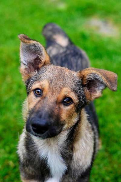 Vorher.... Nachher-Beitrag-Bild