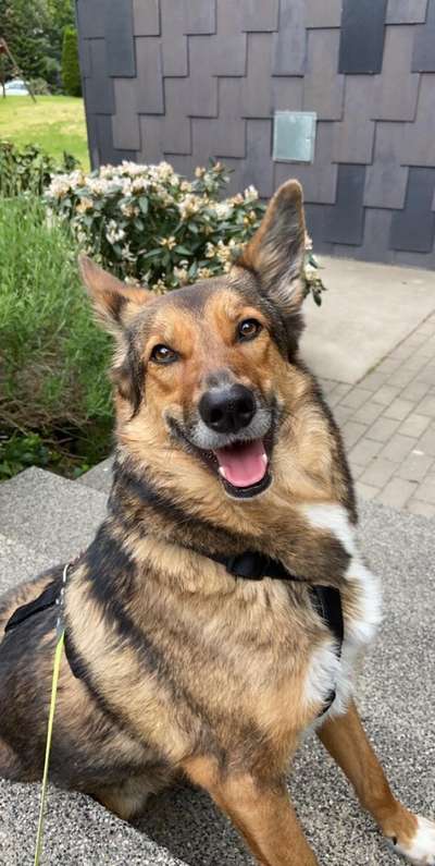 Vorher.... Nachher-Beitrag-Bild