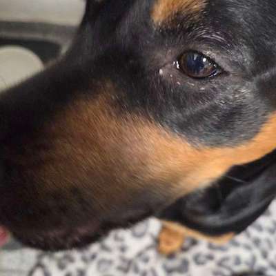 Augenprobleme-Beitrag-Bild