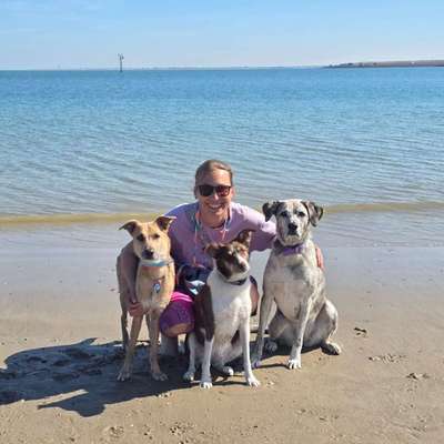 Gassi-Services-Rudelig Dogwalker-Service-Bild