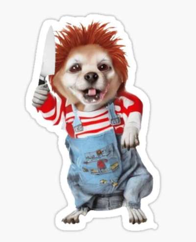 Wie heißt dein Hund?-Beitrag-Bild