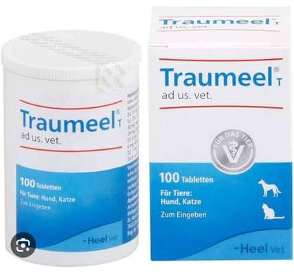 Zerrung oder Ähnliches-Beitrag-Bild