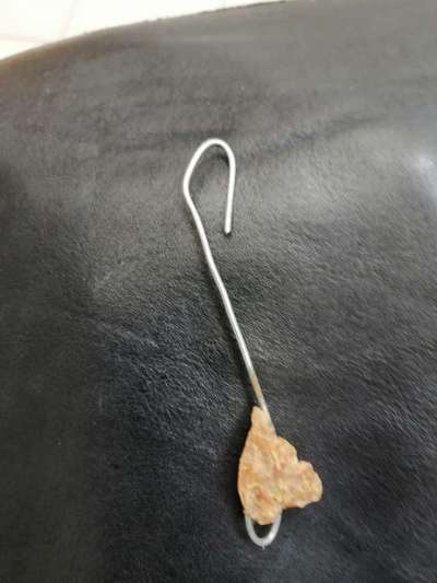 Giftköder-Giftköder-Bild