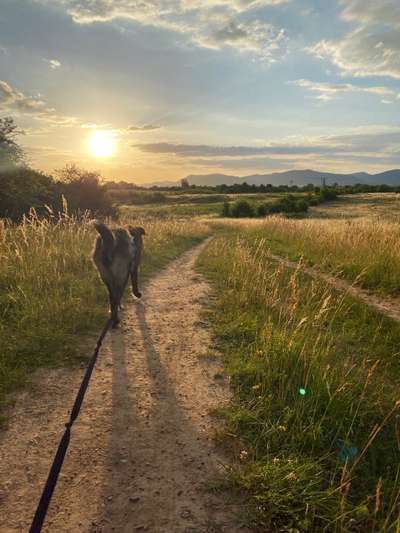 Theos  Fotochallenge Nummer 2-Beitrag-Bild