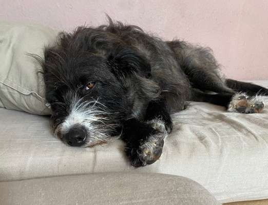 FOTO-Challenge  NR. 91: Die pure Entspannung-Beitrag-Bild