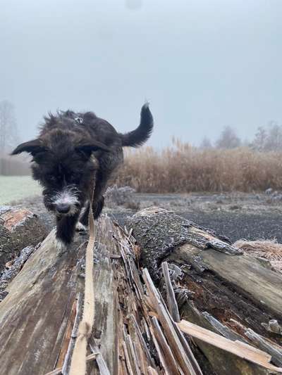 Theos Fotochallenge Nr. 3-Beitrag-Bild