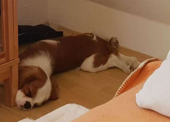 Die unbequemsten und lustigsten Schlafpositionen-Beitrag-Bild