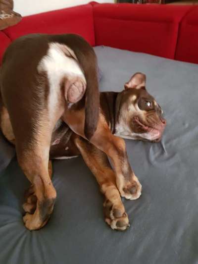 Lustige Grimassen & verrückte Posen-Beitrag-Bild