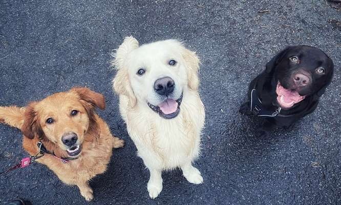 Fotochallenge 69-Beitrag-Bild