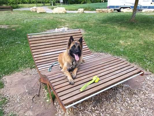 Zeigt eure Portraits-Beitrag-Bild