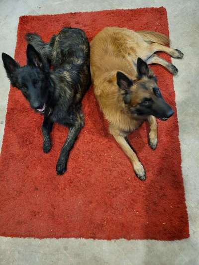 11. Farben Foto Challenge Rot-Beitrag-Bild