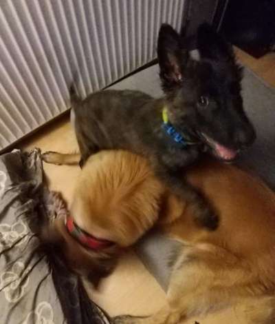 Handy-foto Challange nr. 11-Beitrag-Bild