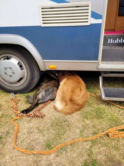 141. FOTO CHALLENGE 
Reisende soll man nicht aufhalten-Beitrag-Bild