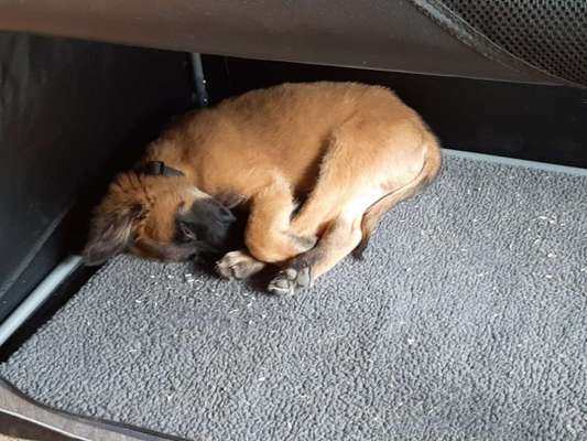 Fotochallange - Eingekugelt-Beitrag-Bild