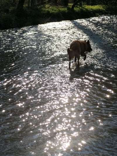 35. Handy Foto Challenge - Das nasse Element-Beitrag-Bild