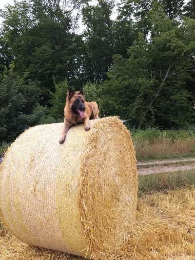 23. Handy Foto-Challenge-Beitrag-Bild