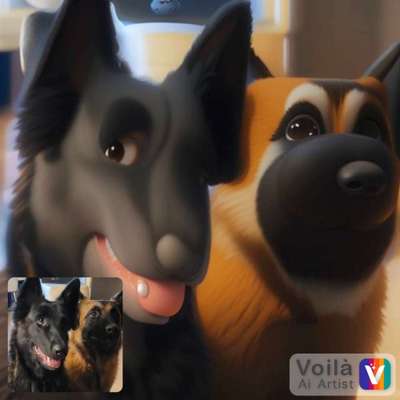 Voila app Bilder-Beitrag-Bild