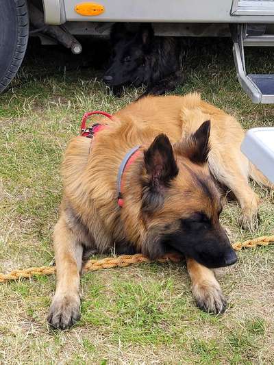 140. Foto Challenge - schattiges Plätzchen-Beitrag-Bild