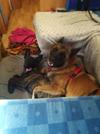 Fotochallenge 101:
On Tour-Beitrag-Bild