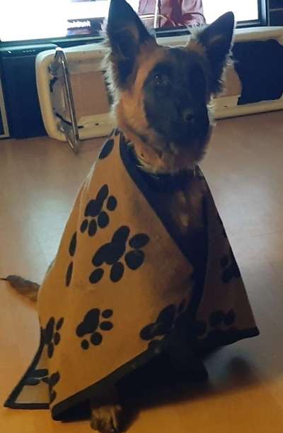 19. Handy - Foto - Challenge-Beitrag-Bild