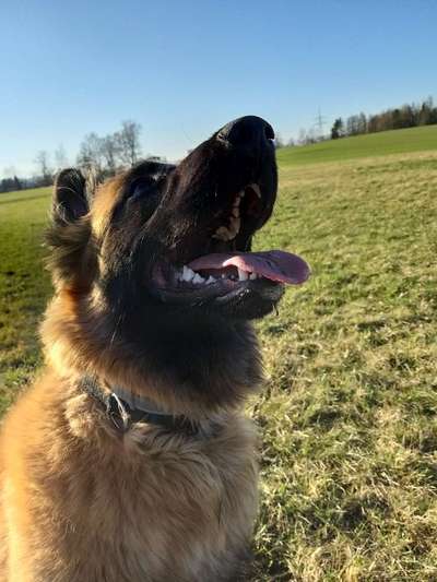 118. Fotochallange-Beitrag-Bild