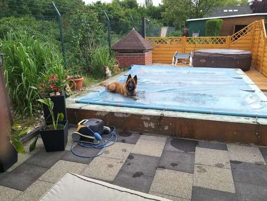 Fotochallenge Nr.100 Urlaubsimpressionen-Beitrag-Bild