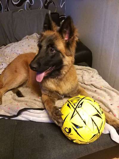 Fotochallenge Nr.122-Beitrag-Bild