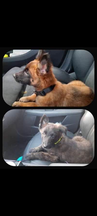 117. Fotochallenge-Beitrag-Bild