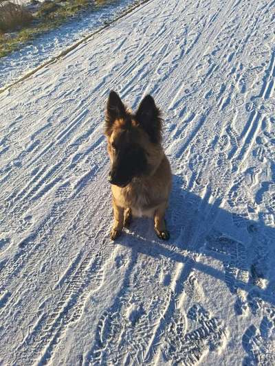 Der erste Schnee, zeigt uns eure tollen Schneemomente-Beitrag-Bild