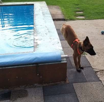 Lustigsten Bilder-Beitrag-Bild