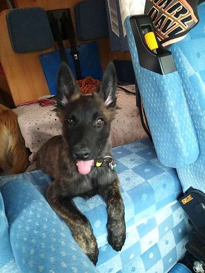 Zeigt eure Portraits-Beitrag-Bild