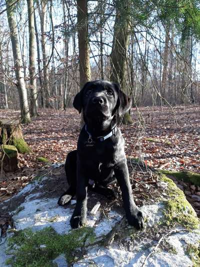 Foto Challenge Nr. 79-Beitrag-Bild