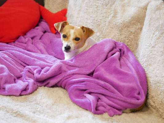 Zeigt eure Portraits-Beitrag-Bild