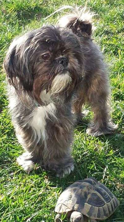 Fotochallenge Nr. 67: Euer Lieblingsbild-Beitrag-Bild